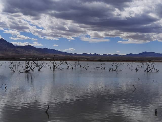 Havasu National Wildlife Refuge - Image 1