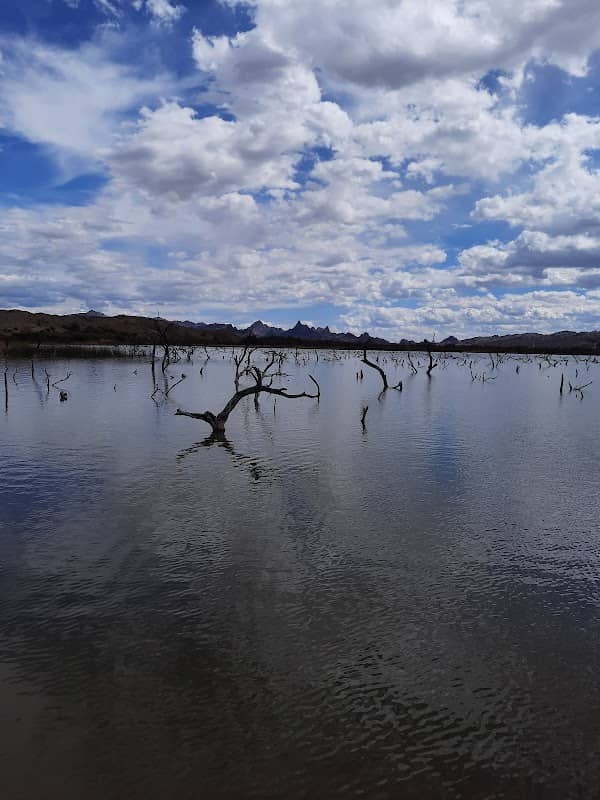 Havasu National Wildlife Refuge - Image 2