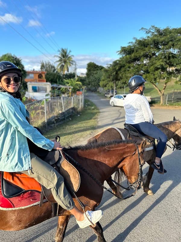 Seagate Hotel Horse Ride - Image 1
