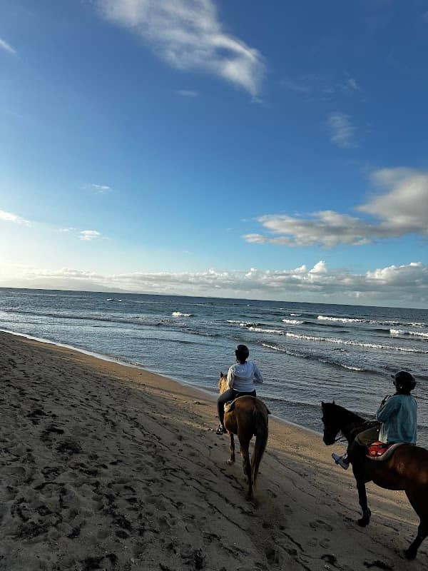 Seagate Hotel Horse Ride - Image 2