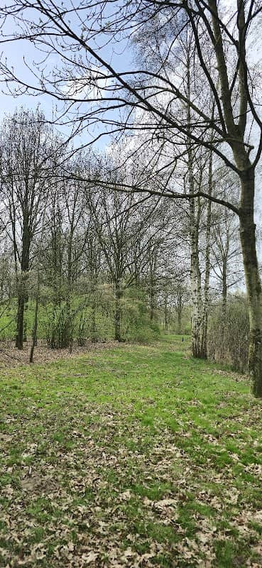 Vlijmen park - Image 2