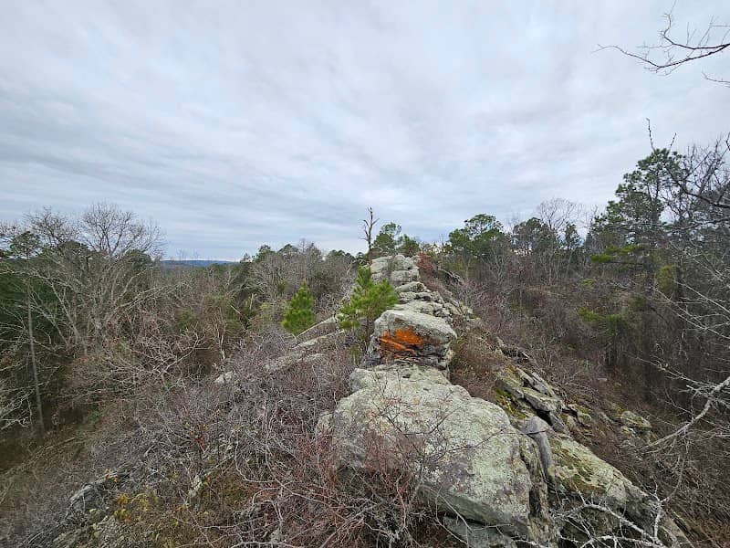 The Ridge - Image 1