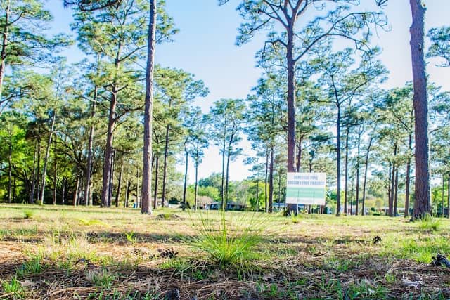 Scenic Heights Park - Image 2