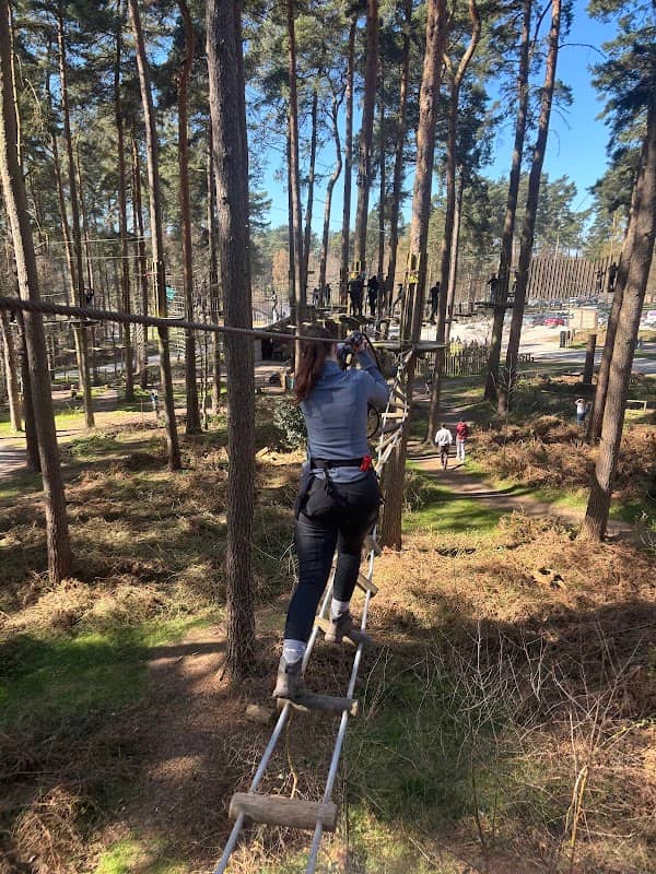Go Ape Cannock - Image 2