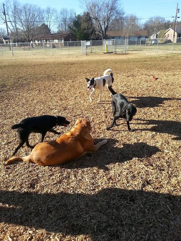 Mount Juliet Bark Park - Image 2