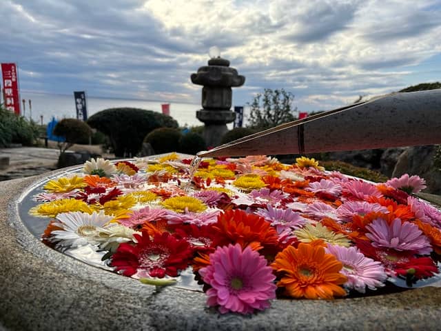 花手水 - Image 2
