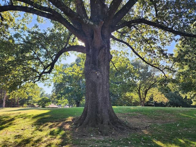 Elmore Civic Park - Image 1