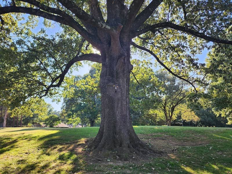 Elmore Civic Park - Image 1