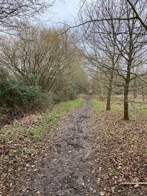 Buckle’s Wood - Image 1