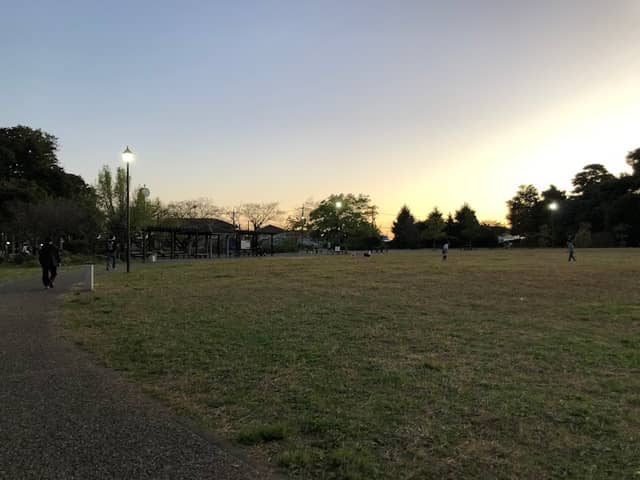 Maruyama Castle Site Park - Image 1