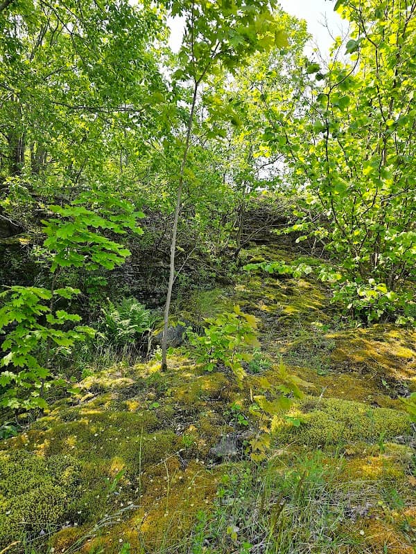 Leetse pank (läheduses) - Image 1