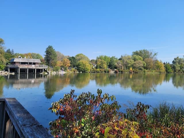 Toogood Pond Park - Image 1