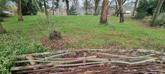 Wildlife Area - Image 2