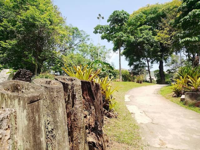 Parque Escola - Image 2