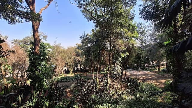 Parque Escola - Image 3