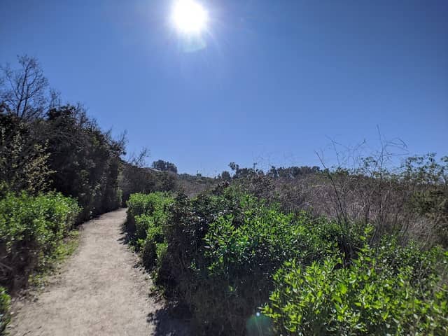 Gum Grove Park - Image 1