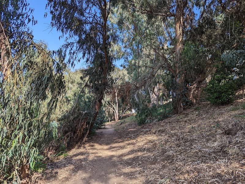 Gum Grove Park - Image 2