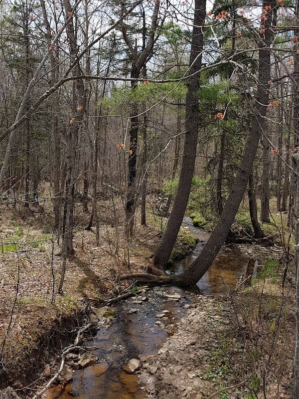 Old Foster Trail - Image 2