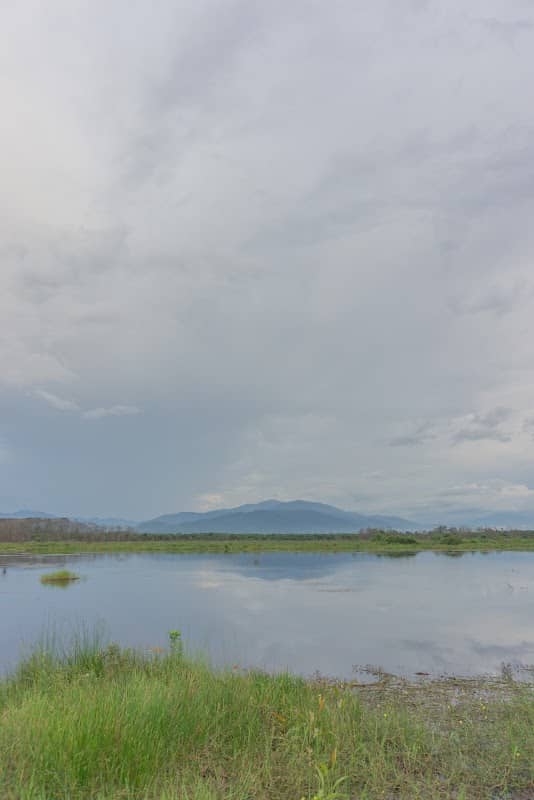 jeti tasik bukit merah - Image 1