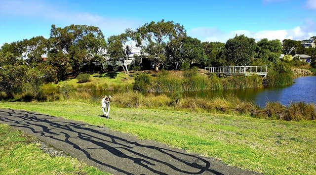 Encounter Wetlands - Image 2