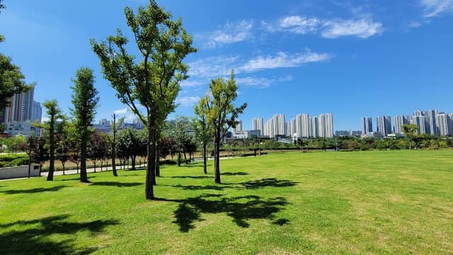 삿갓광장 - Image 1