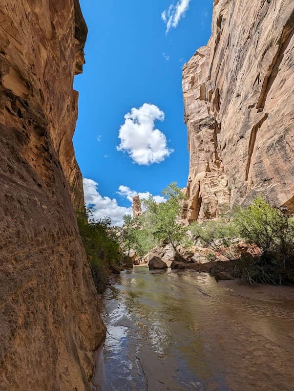 Lower Hackberry Canyon Trailhead - Image 1