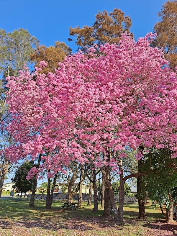 Gordon Wingfield Park - Image 1