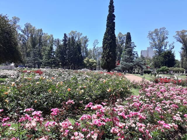 El Rosedal - Image 2