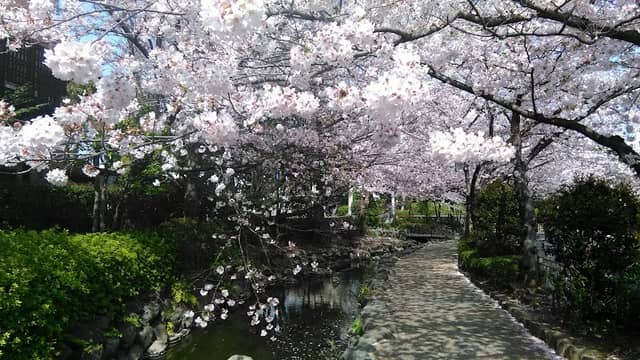 Ichinoesakaigawa Water Park - Image 1
