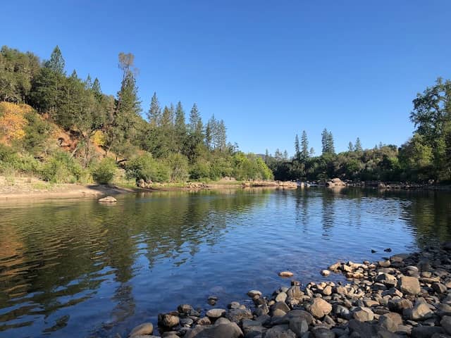Dave Moore Nature Area - Image 2