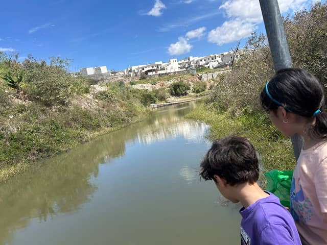Presa Mirador de Los Ángeles - Image 1