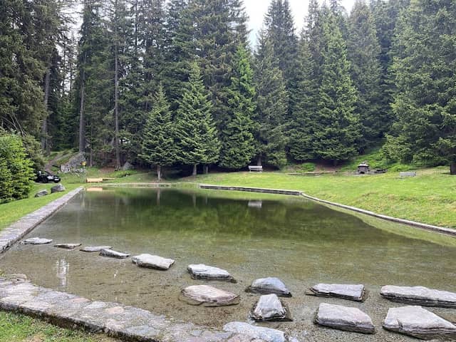 Stafaliweiher - Image 1