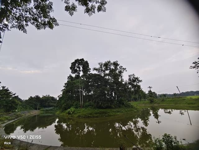 Dhupguri lake - Image 1