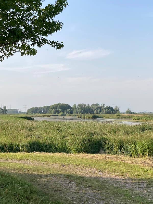 Biesbosch Noordwaard - Image 1