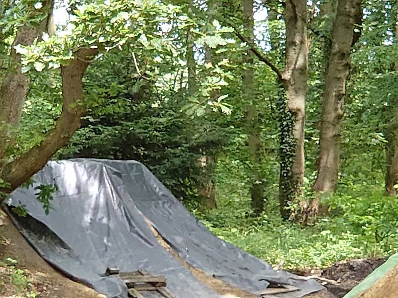Hesley Wood - Image 1