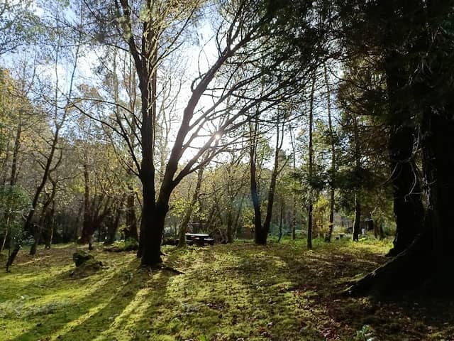 Parque cabouco - Image 1