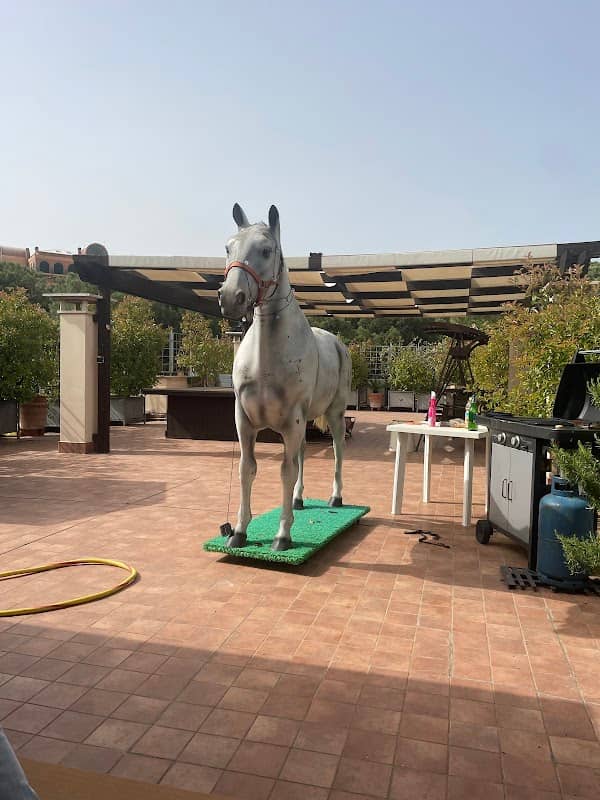 Il Cavallo Giancarlo - Image 1