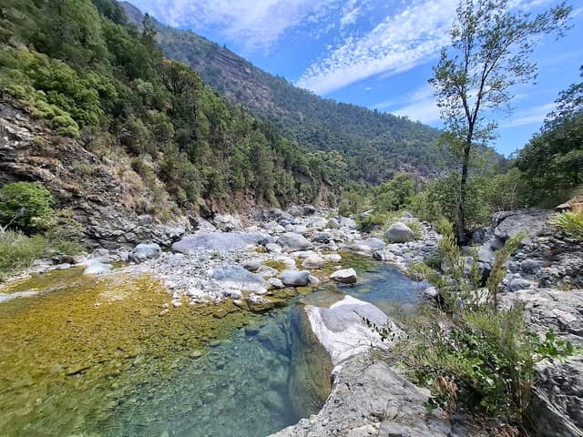 Los Bellotos - Image 1