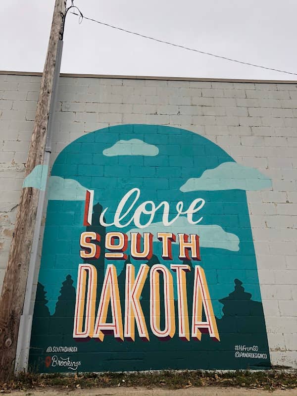 I love South Dakota Pandr Mural - Image 1