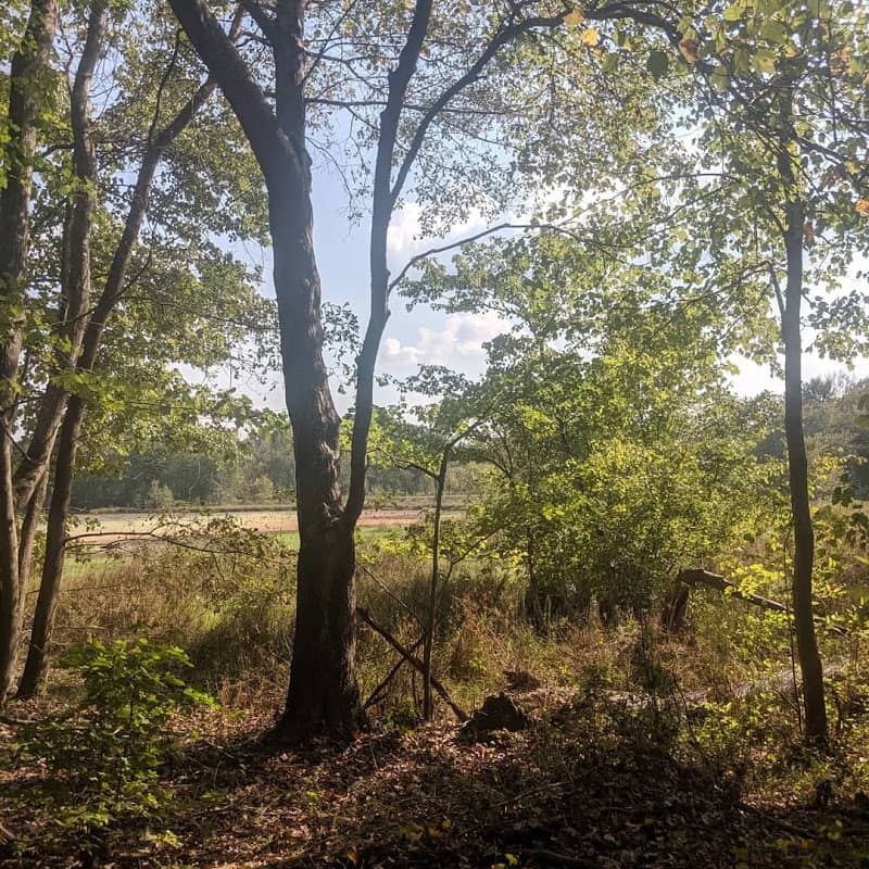 Lucille Creek Trail-Silver Comet Trail Connection - Image 1