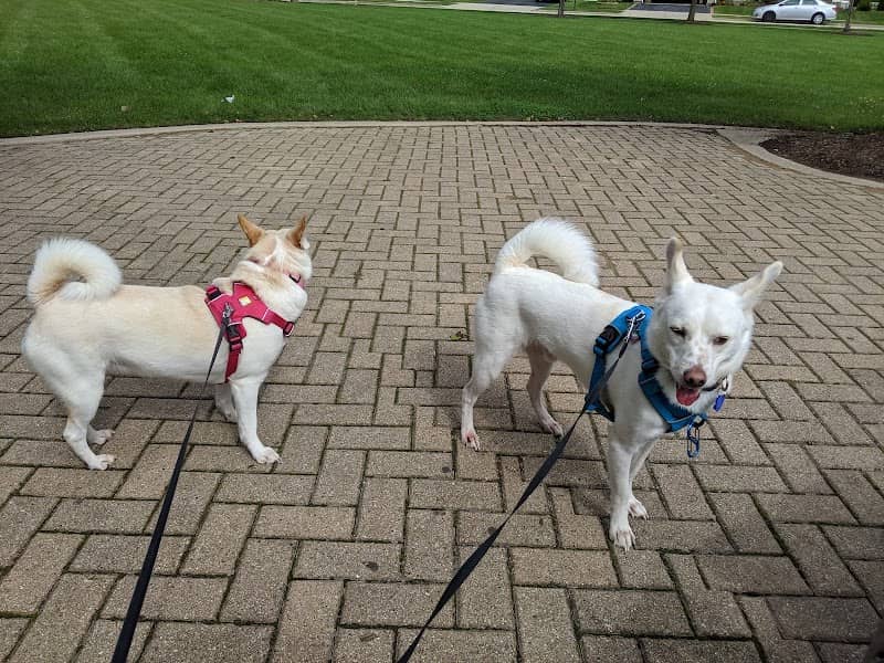 Diversity Park - Image 1