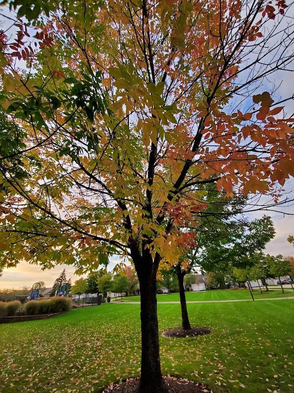 Diversity Park - Image 2