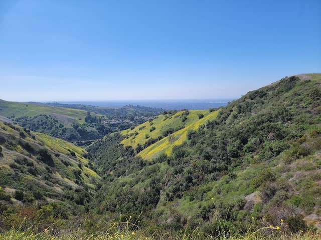 Turnbull Canyon - Image 2