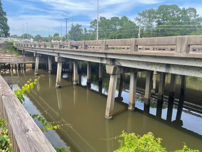 Gator Boardwalk - Image 1