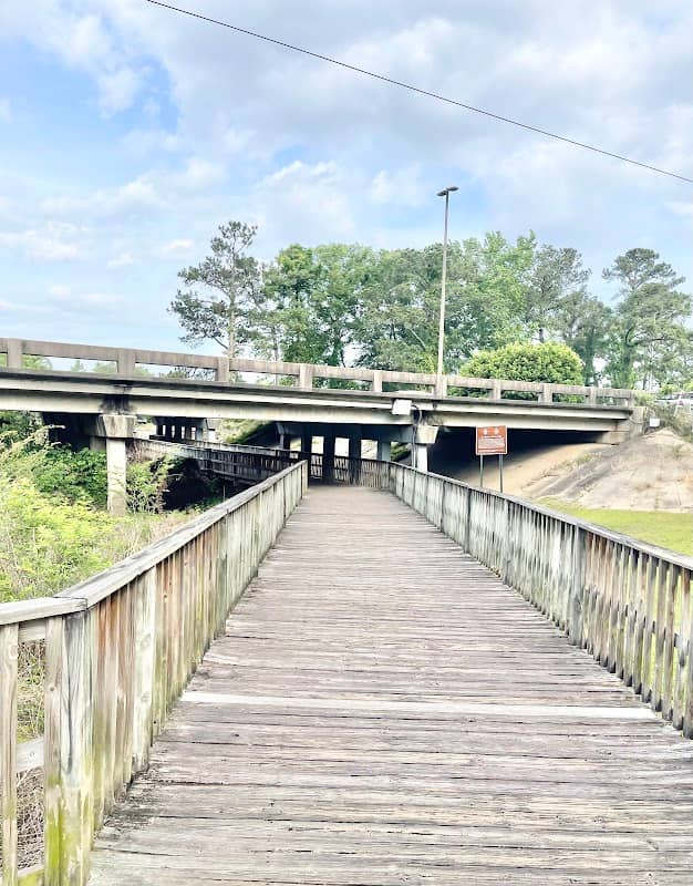 Gator Boardwalk - Image 2