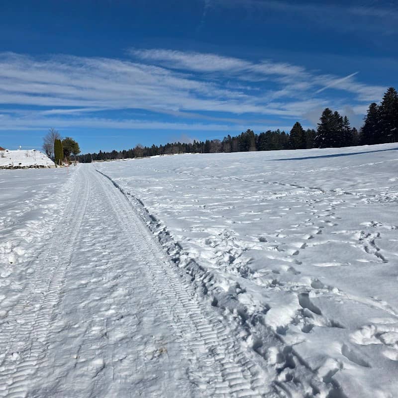 Mollendruz Ski Place - Image 2