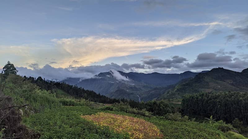 View Point - Image 1