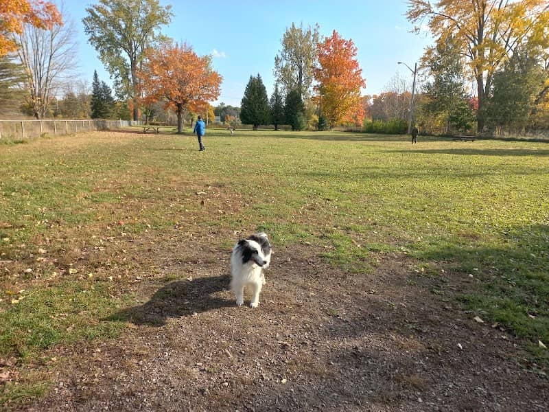 Base Borden Off Leash Dog Park - Image 2