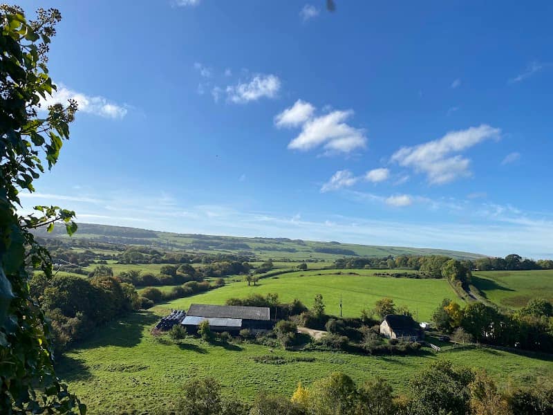 Corfe Common - Image 1