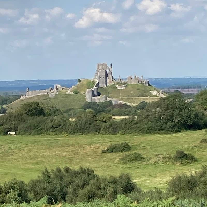 Corfe Common - Image 3